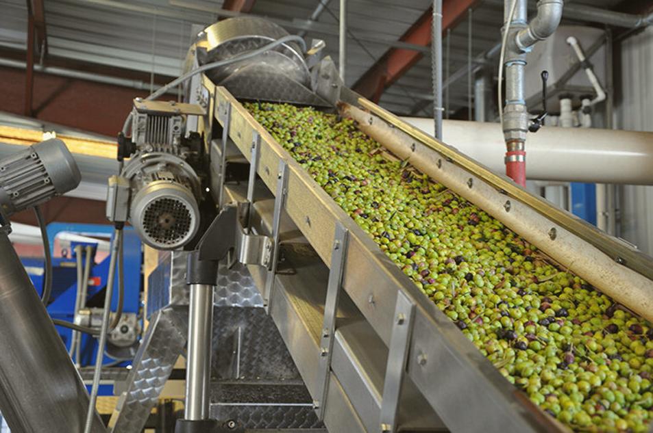 Olive Research Center